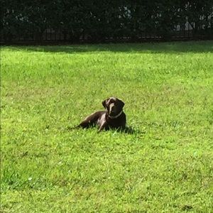 Meet your Posher, Tucker